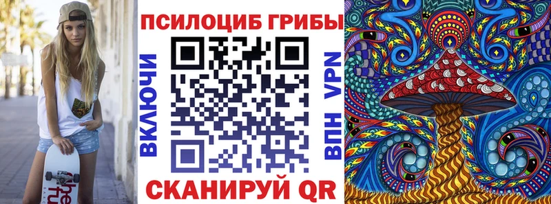 Галлюциногенные грибы Psilocybe  Любим 